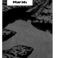   Marsh <small>Story & Art</small> 